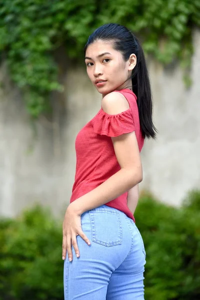 Slender Pretty Asian Feminino — Fotografia de Stock