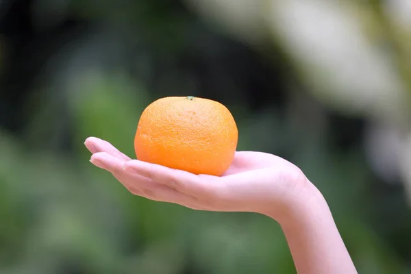 Mano femenina sosteniendo una naranja — Foto de Stock