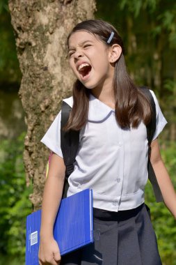 Young Student Child And Anger Wearing Uniform