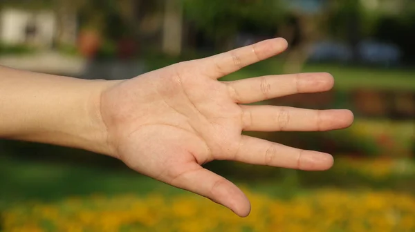 Mano femminile Cinque dita — Foto Stock