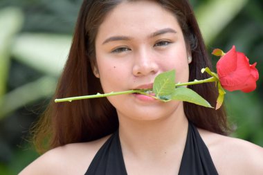 Bir Gül ile Poz Genç Asyalı Kadın