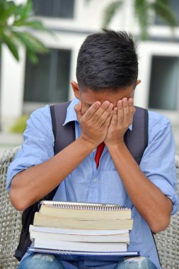 Hayal Kırıklığına Koleji Azınlık Kişi