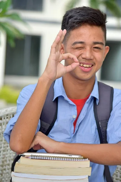 Okay vielfältiger Schüler mit Büchern — Stockfoto