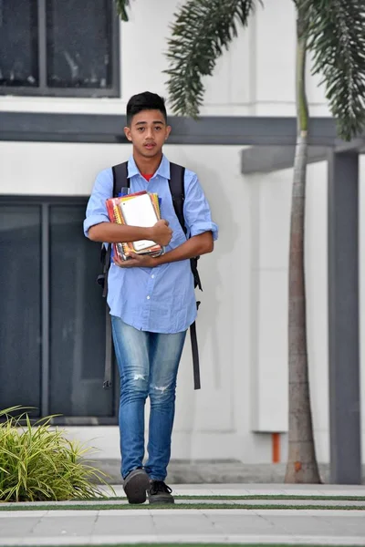 Неемоційне різноманітне Хлопчик Студентська ходьба — стокове фото