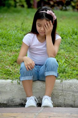 Bir Depresif Sevimli Ergen