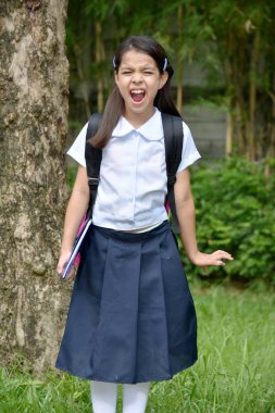 Kitaplar ile Stres Altında Katolik Çeşitli Kız Öğrenci