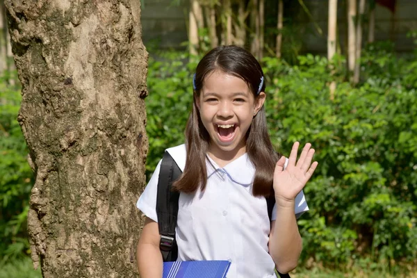 Sorprendido escuela chica con libros — Foto de Stock