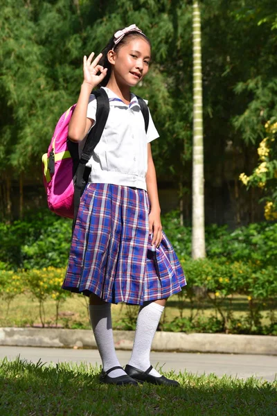 Tamam Katolik Asyalı Kız Öğrenci Not Defterleri ile Okul Üniforması Giyen