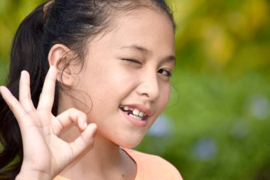 Bir Gençlik ve Tamam Işareti