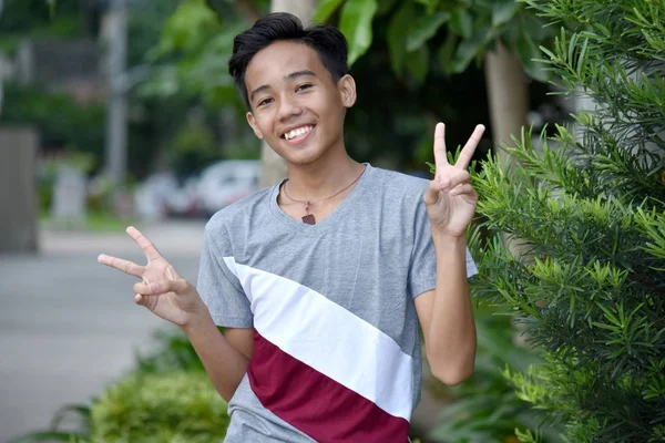 A Teen Boy And Peace Sign — Stok Foto