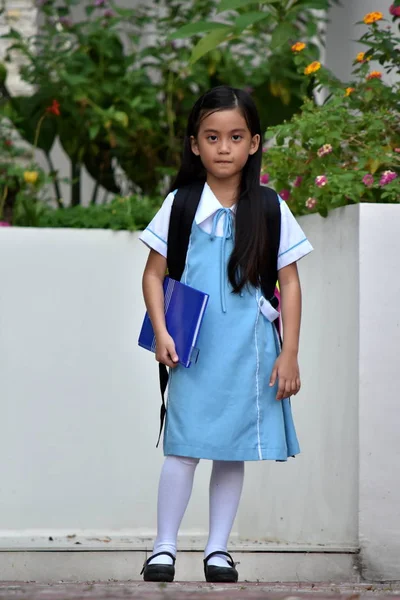 Standing Pretty Minority Girl Student Wearing School Uniform With Notebooks