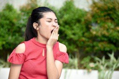 Bir Uykucu Çeşitlilik Kişisi