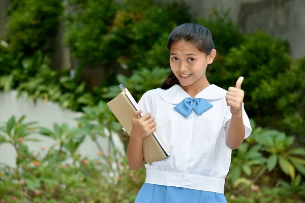 Succesvolle jonge Aziatische persoon met schoolboeken — Stockfoto