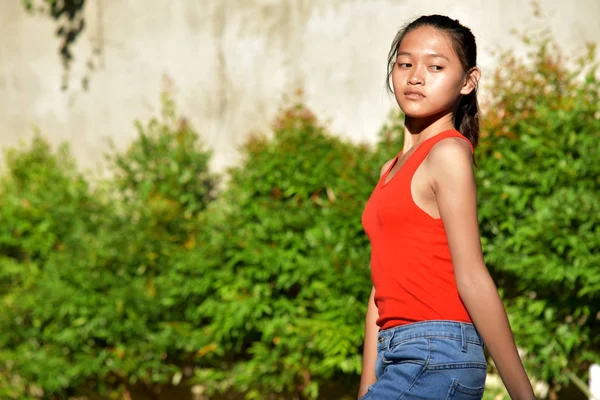Eine emotionslose süße philippinische Hündin — Stockfoto