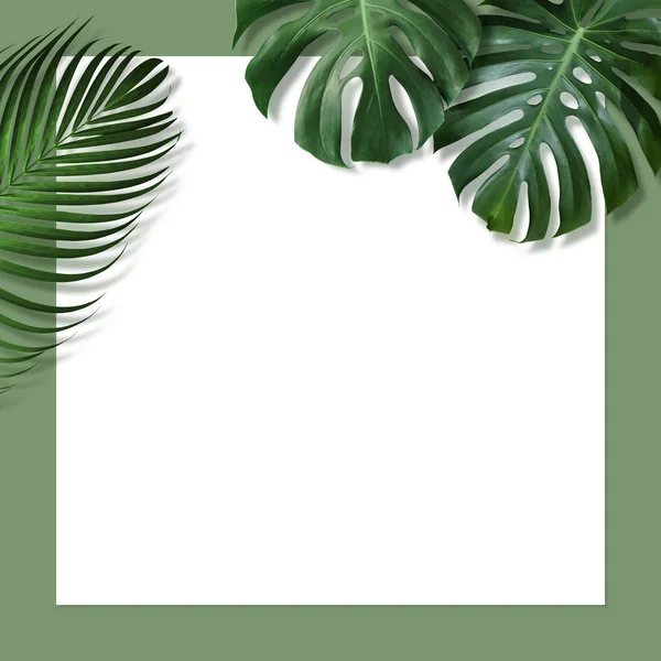 Conception Minimaliste Concept Estival Feuilles Tropicales Papier Blanc Vierge Sur — Photo