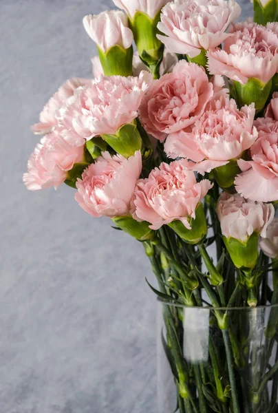 Cam vazo içinde pembe karanfil çiçek