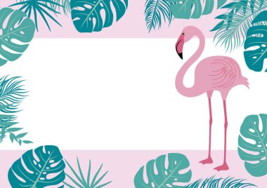Flamingo ve tropikal yaz bayrağı vektör çizim bırakır