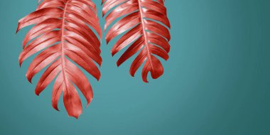 Mavi arka plan en az yaz yaşam mercan bitkiyi yapraklarda