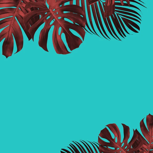 Sommer Tropischen Blättern Hintergrund Duo Ton Stil — Stockfoto
