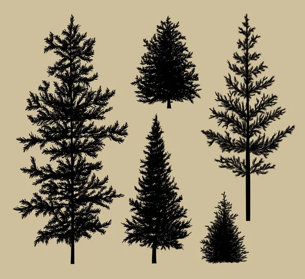 FIR Tree Silhouette på brunt papper bakgrund vektor illustration — Stock vektor