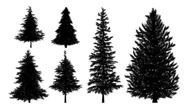 Beyaz arka plan vektör illüstrasyon üzerinde köknar veya çam ağaçlarının silueti — Stok Vektör