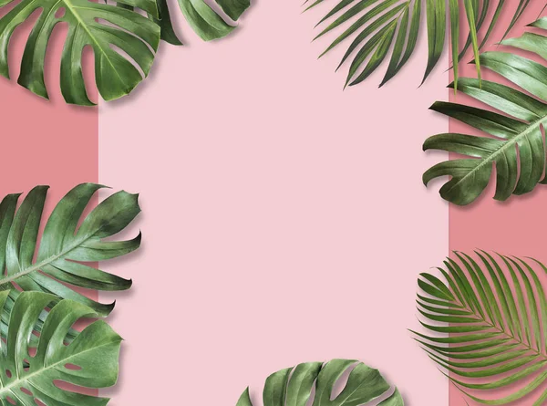 Tropiska blad på rosa papper bakgrund med kopierings utrymme Summer banner design — Stockfoto