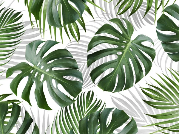 Tropical leaves pattern background design of monstera and yellow palm Summer banner — Stock Photo, Image