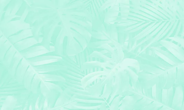 Neo hortelã cor tropical folhas fundo — Fotografia de Stock