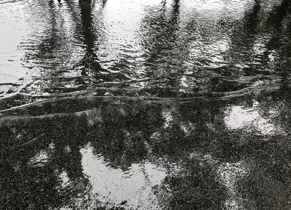 Lluvia en el camino de asfalto con reflejo de sombra de árbol en el parque — Foto de Stock