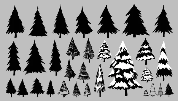 白色背景矢量图上的杉木或松树 — 图库矢量图片