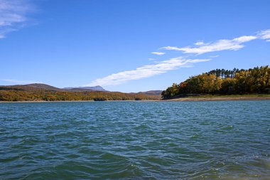 orman arasında dağ gölü