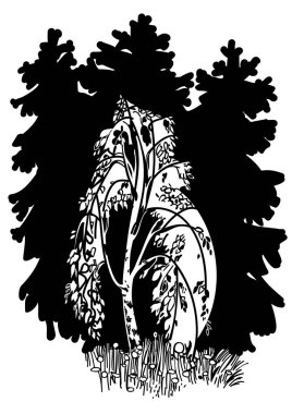 huş ağacı Noel ağaçları arka plan üzerinde çizim