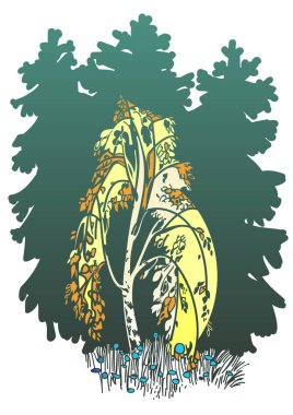 huş ağacı Noel ağaçları arka plan üzerinde çizim