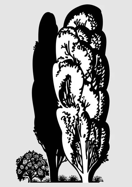 kavak ağacı ve gül bush, vektör çizim