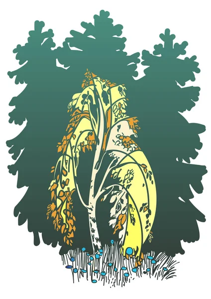 huş ağacı Noel ağaçları arka plan üzerinde çizim