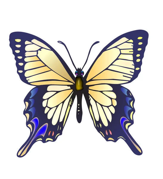 Beyaz, vektör çizim üzerinde güzel kelebek