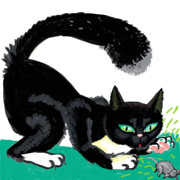 Sketch Black Cat Playing Mouse — Stock Photo, Image