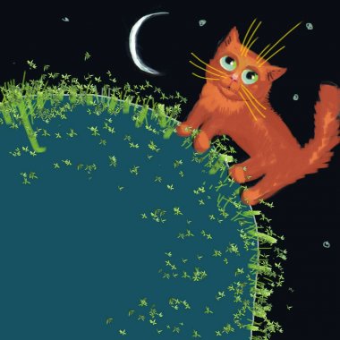 kırmızı kedi ay altında gece yürüyüş ve düşen yıldızlar