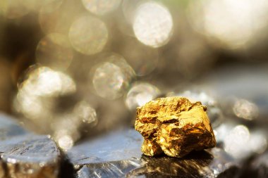 Golden bar on raw coal nuggets with soft focus and shiny background clipart