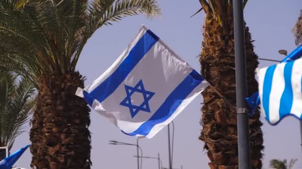 Slow Motion Film Flagga Israel — Stockvideo