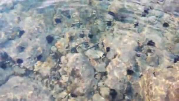 Mar Cristal Croacia — Vídeos de Stock