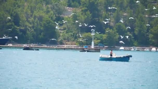 Pescador Croata Barco Bahía Vela Luka Croacia — Vídeo de stock