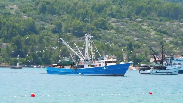 Bateau Pêche Est Venu Pêche — Video