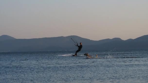 Niedlichen Hund Mit Kitesurfer Zusammen Zeitlupe Kite Surfing Hund Läuft — Stockvideo