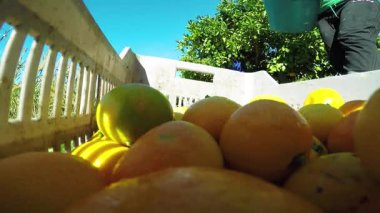 Mandalina içinde krater, ağır çekim.