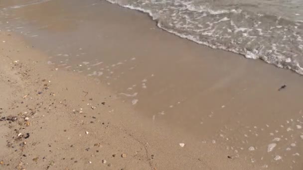 Linha Costa Fria Manhã Praia Areia Ondas Batendo Praia — Vídeo de Stock