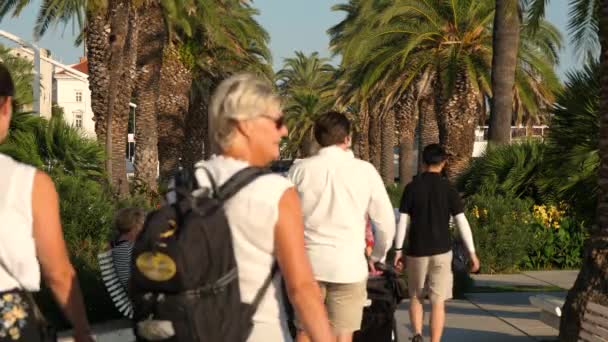 Riva Üzerinde Yürüyen Turist Split Hırvatistan Gezi Ağır Çekim Görüntüleri — Stok video