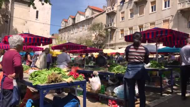 Time Lapse Del Mercado Local Casco Antiguo Split Croacia Verduras — Vídeos de Stock