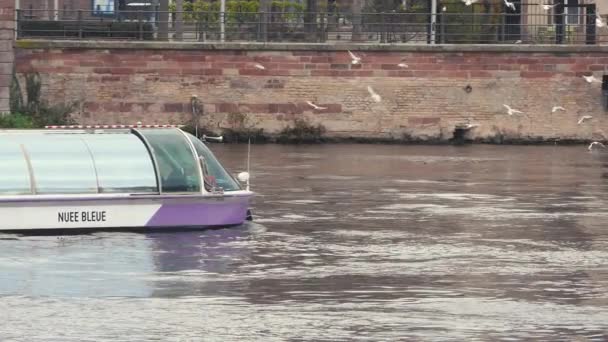 Nehir Tekne Ile Kanal Binmek Strasbourg Fransa Yapmak Için Iyi — Stok video