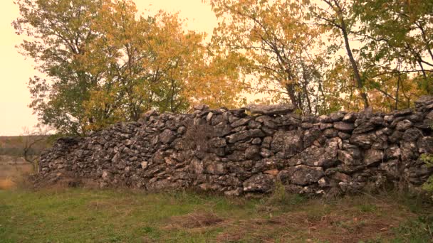 Footage Forest Stone Wall — Stock Video